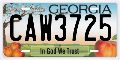 GA license plate CAW3725