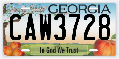 GA license plate CAW3728