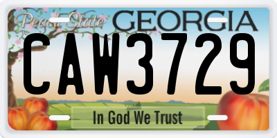 GA license plate CAW3729