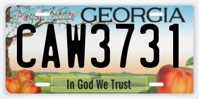 GA license plate CAW3731
