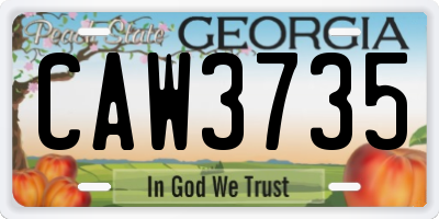 GA license plate CAW3735