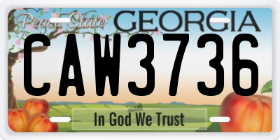 GA license plate CAW3736