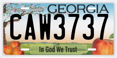 GA license plate CAW3737