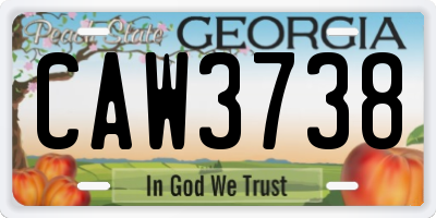 GA license plate CAW3738