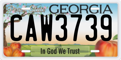 GA license plate CAW3739