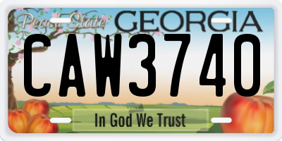 GA license plate CAW3740