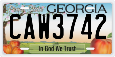 GA license plate CAW3742