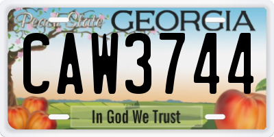 GA license plate CAW3744