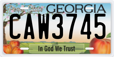 GA license plate CAW3745