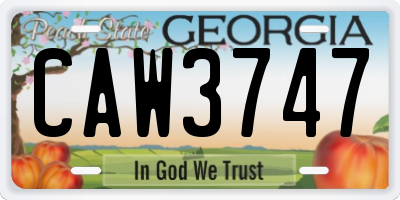 GA license plate CAW3747