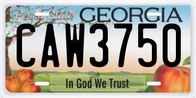 GA license plate CAW3750