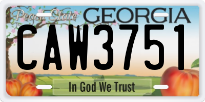 GA license plate CAW3751