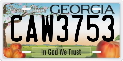 GA license plate CAW3753