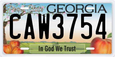 GA license plate CAW3754