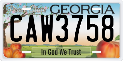 GA license plate CAW3758