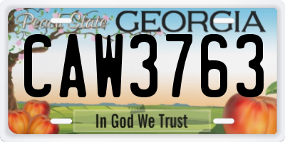 GA license plate CAW3763