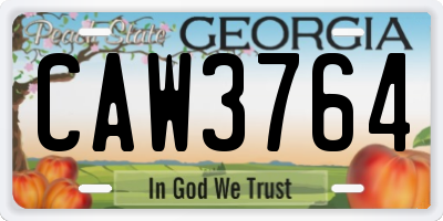 GA license plate CAW3764