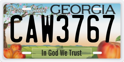 GA license plate CAW3767