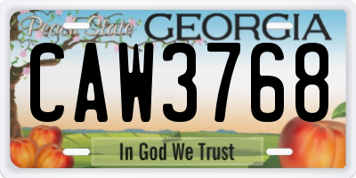 GA license plate CAW3768