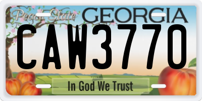 GA license plate CAW3770