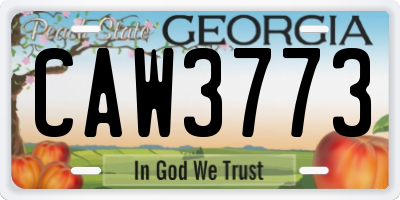 GA license plate CAW3773