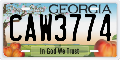 GA license plate CAW3774