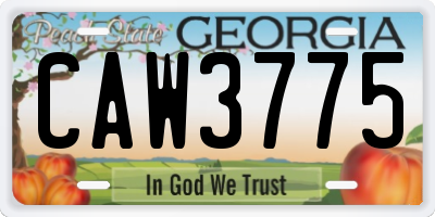 GA license plate CAW3775