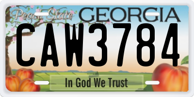 GA license plate CAW3784