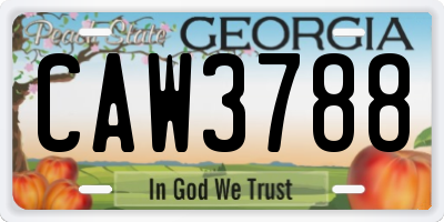 GA license plate CAW3788