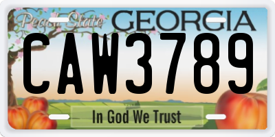 GA license plate CAW3789