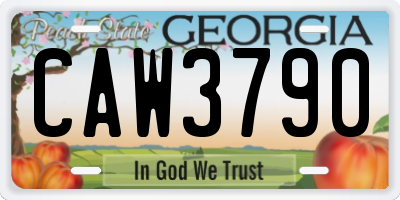 GA license plate CAW3790