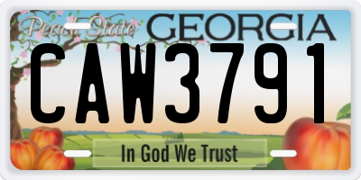 GA license plate CAW3791