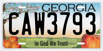 GA license plate CAW3793