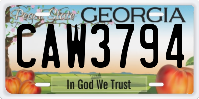 GA license plate CAW3794