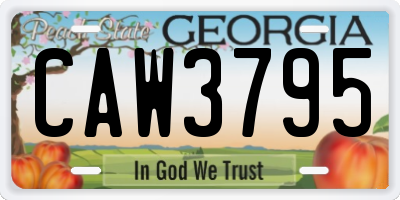 GA license plate CAW3795