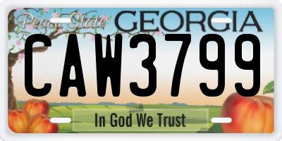 GA license plate CAW3799