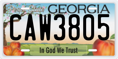 GA license plate CAW3805