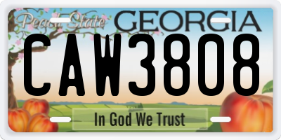 GA license plate CAW3808