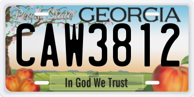 GA license plate CAW3812