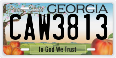 GA license plate CAW3813