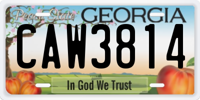 GA license plate CAW3814