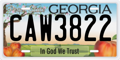 GA license plate CAW3822