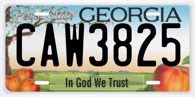 GA license plate CAW3825