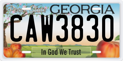 GA license plate CAW3830