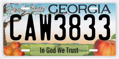 GA license plate CAW3833