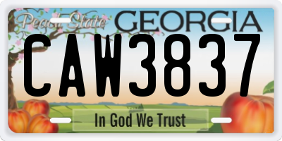 GA license plate CAW3837