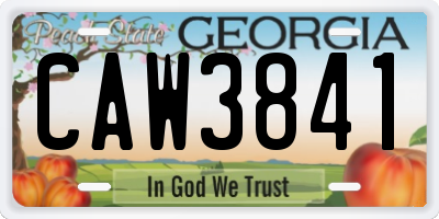 GA license plate CAW3841