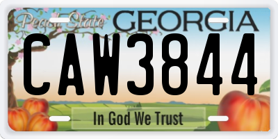 GA license plate CAW3844