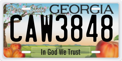 GA license plate CAW3848