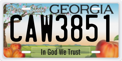 GA license plate CAW3851